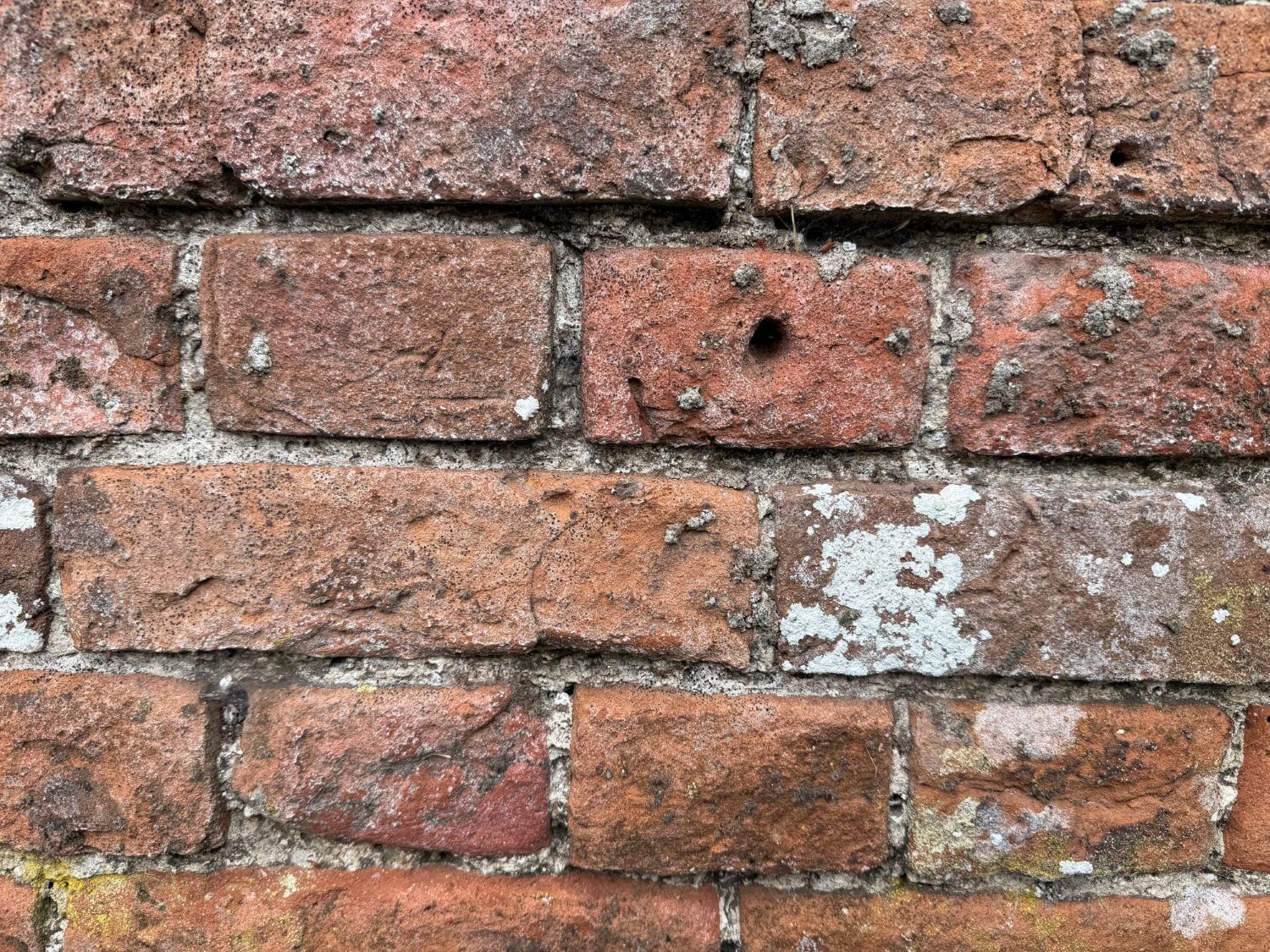 Close-up of a weathered red brick wall with patches of pale lichen and light mortar joints.