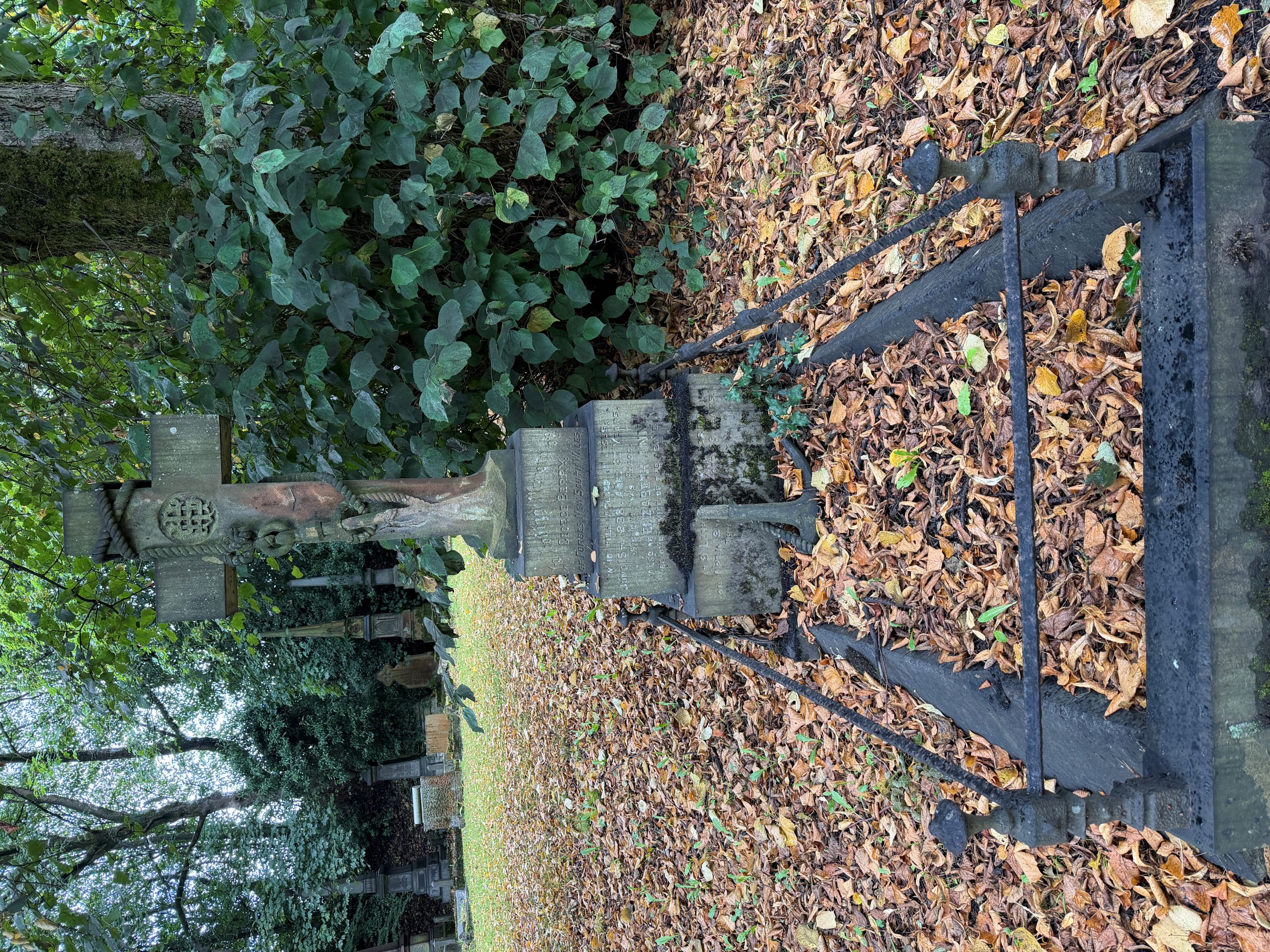 A stone cross with a carved rope and anchor, standing on a stepped base with a weathered inscription that includes &ldquo;New South Wales&rdquo;. It is edged by a low iron railing and covered with autumn leaves.
