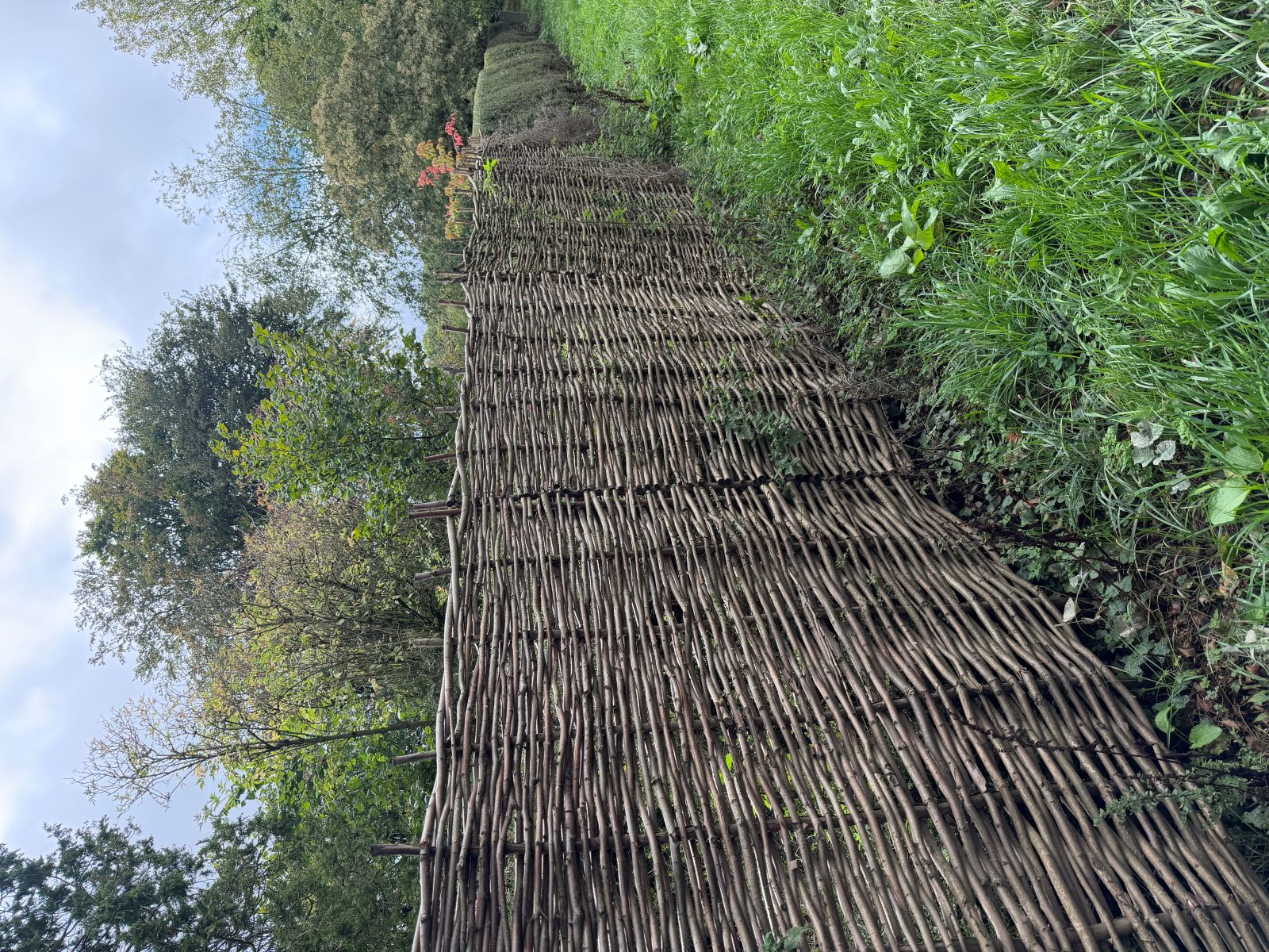 A long fence of woven hurdle panels made from thin grey branches threaded between upright stakes, running beside a grassy path with trees and a hedge beyond, under a cloudy sky.