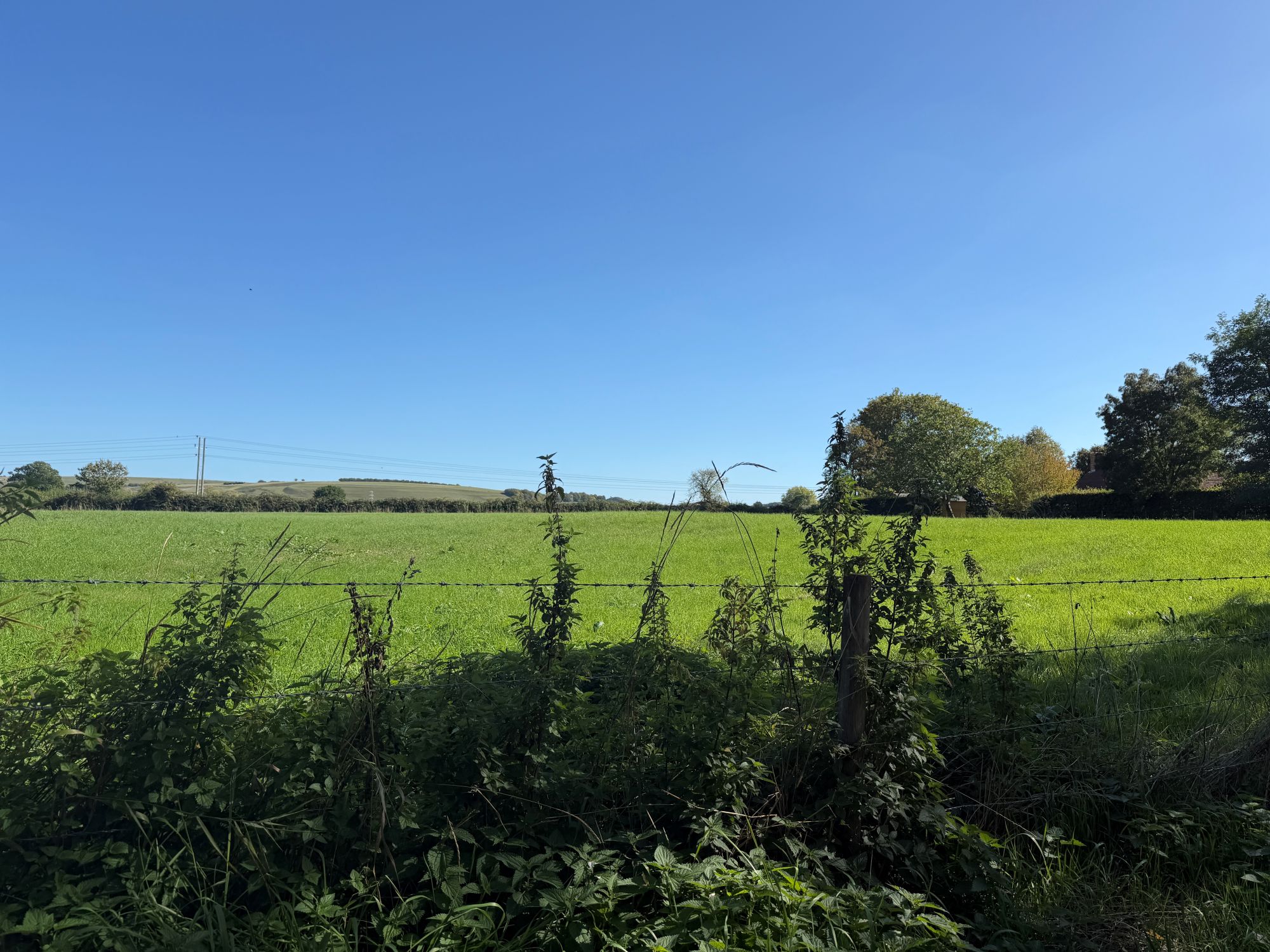 A bright green grass field seen over a barbed wire fence and nettles, with hedgerows, trees and rolling hills under a clear blue sky.