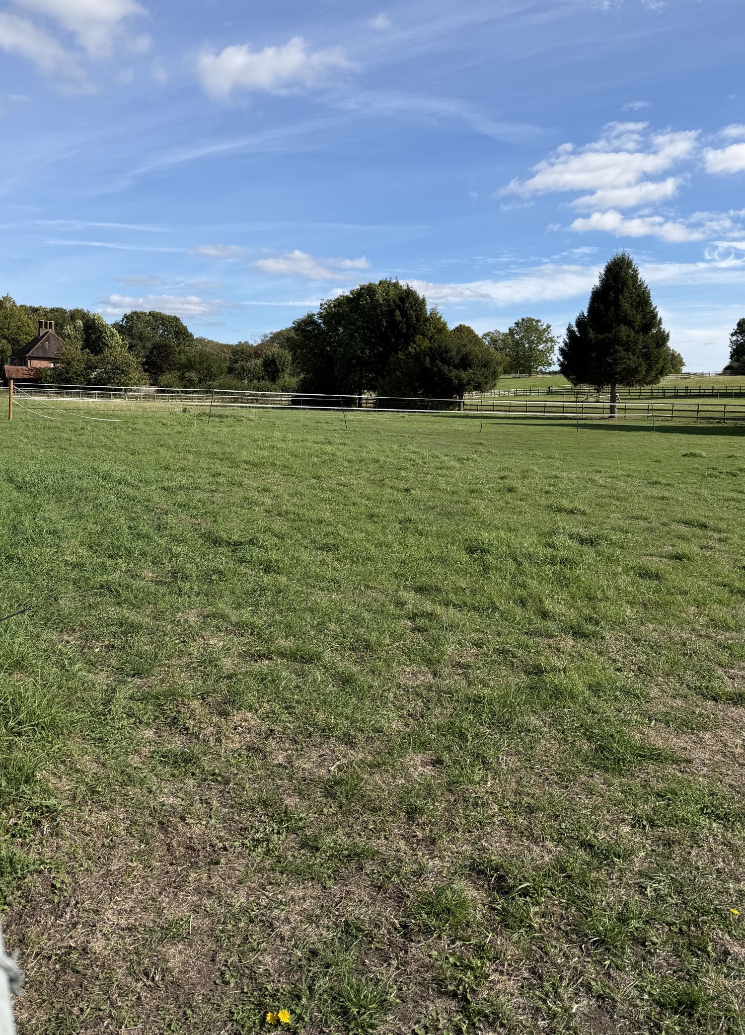 A grassy paddock with a white electric fence tape across the middle, trees and a tall conifer beyond, and the roof and chimney of a red brick house at the far left, under a blue sky with scattered cloud.