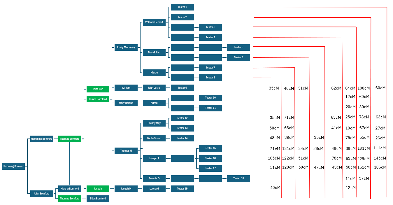Family tree showing DNA connections between descendants of Emily Macauley and descendants of James Bomford and Susan Napper, with hypothetical fathers highlighted in green
