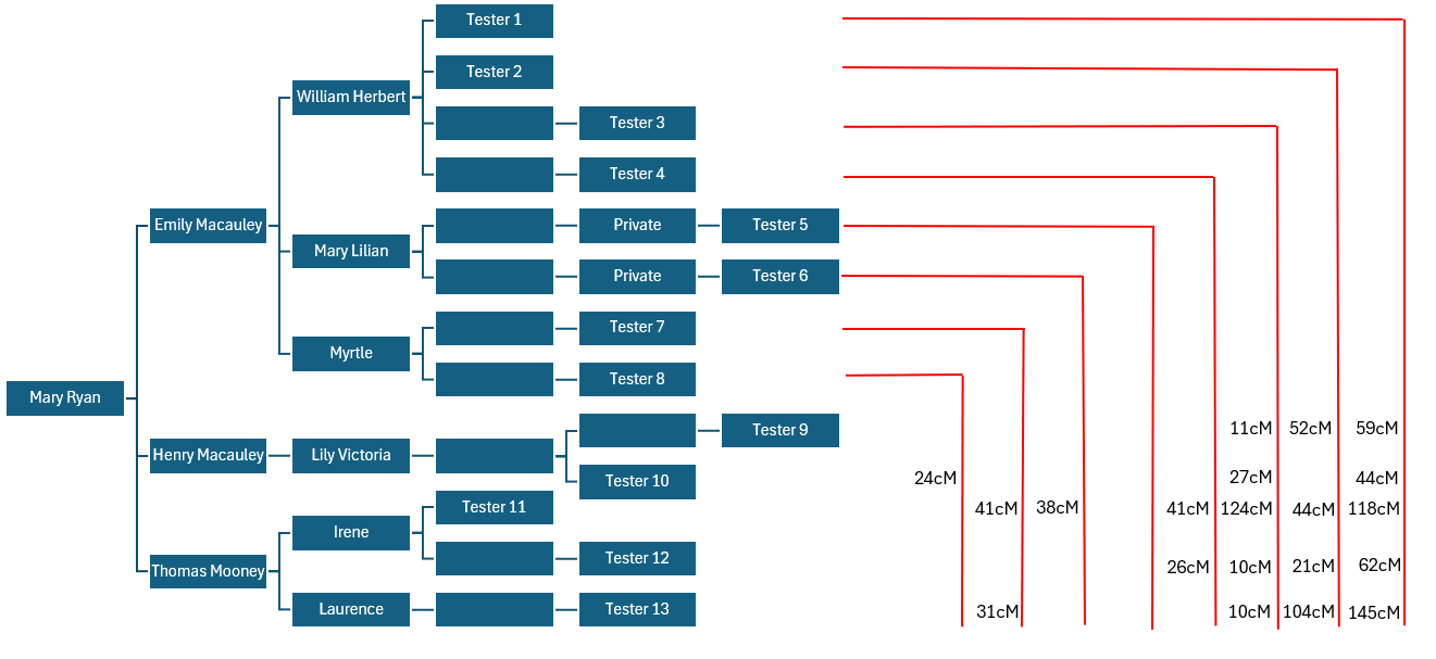 Family tree showing DNA connections between descendants of Emily Macauley and descendants of Thomas Mooney and Henry Macauley via Mary Ryan