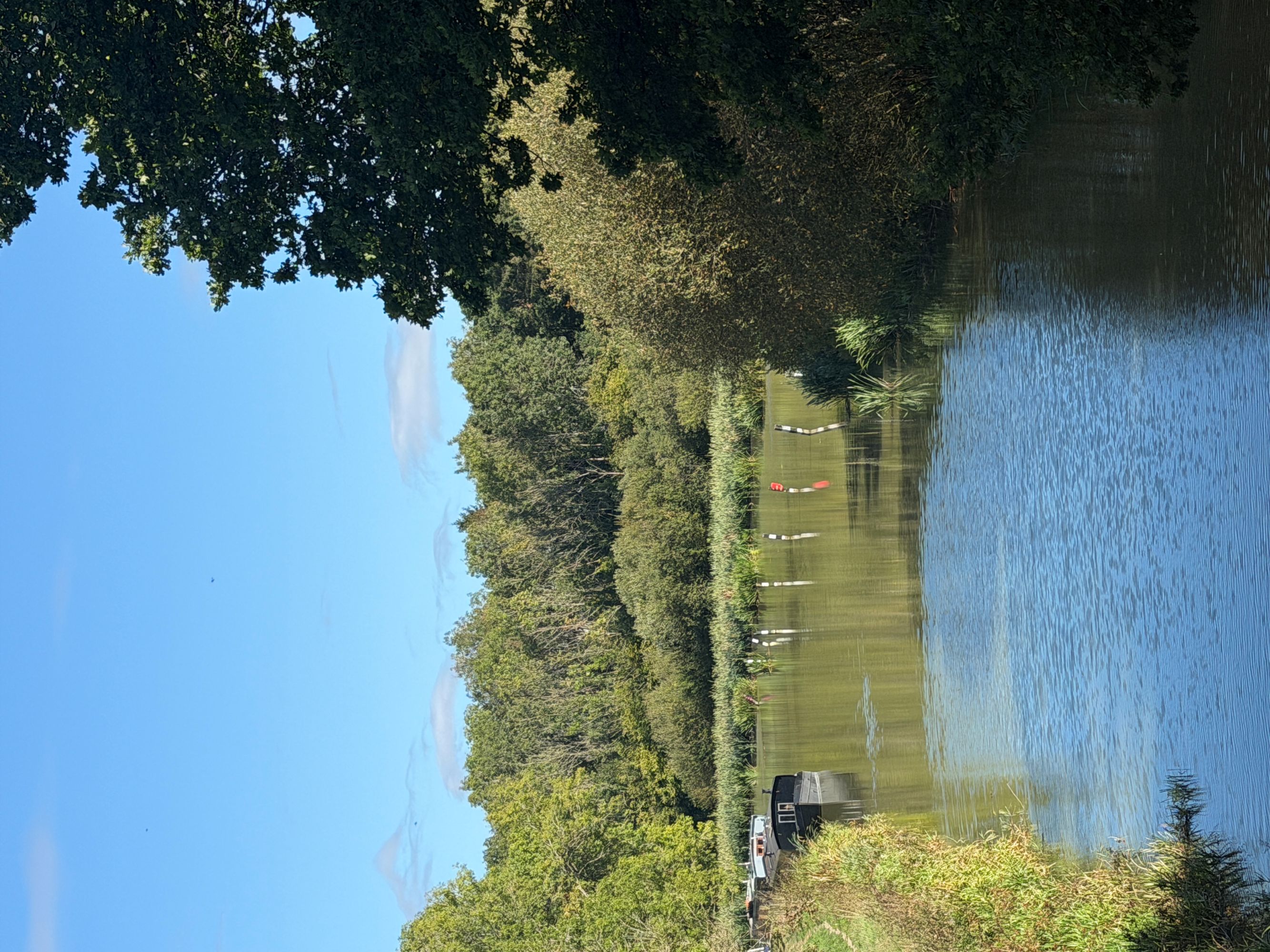 A canal curving away between grassy banks and tall trees, with a dark narrowboat moored on the left, reeds beyond, and woodland under a blue sky.