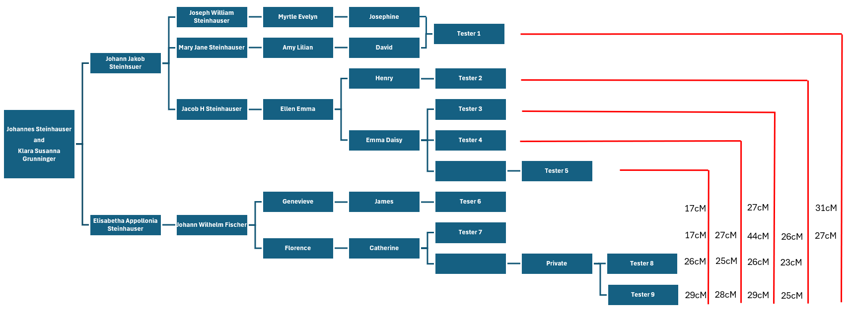 Family tree showing DNA connections between descendants of Johann Jakob Steinhauser in Australia and descendants of William Fischer in the USA