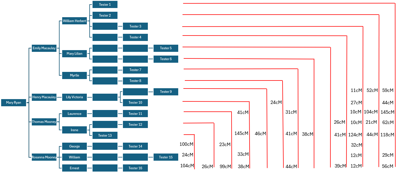 Family tree diagram showing DNA connections between descendants of Rosanna Mooney and descendants of her siblings Thomas Mooney, Henry Macauley and Emily Macauley, with cM values for shared DNA between connected individuals